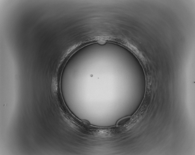 X0000116860060200912291308