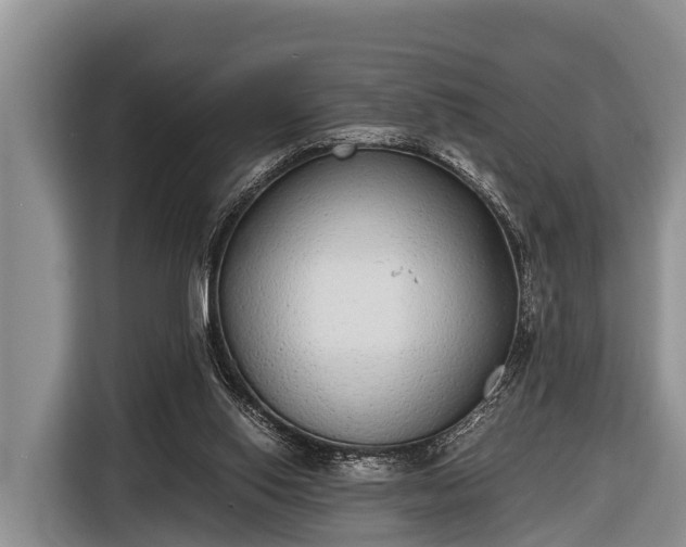 X0000116860062200912291308