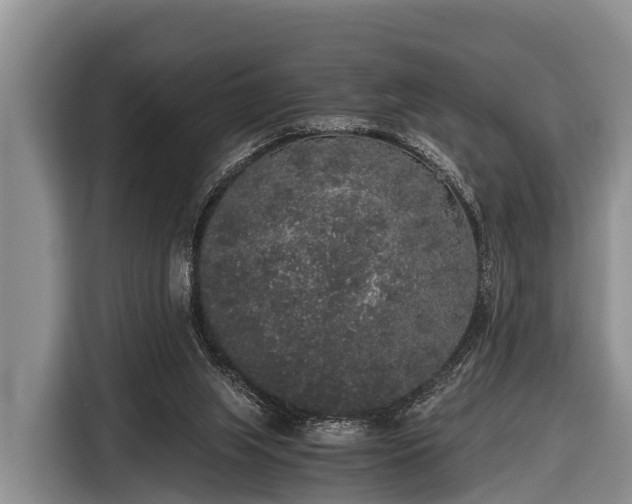 X0000116860063200912291308