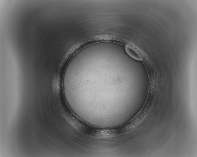 X0000116860064200912291308