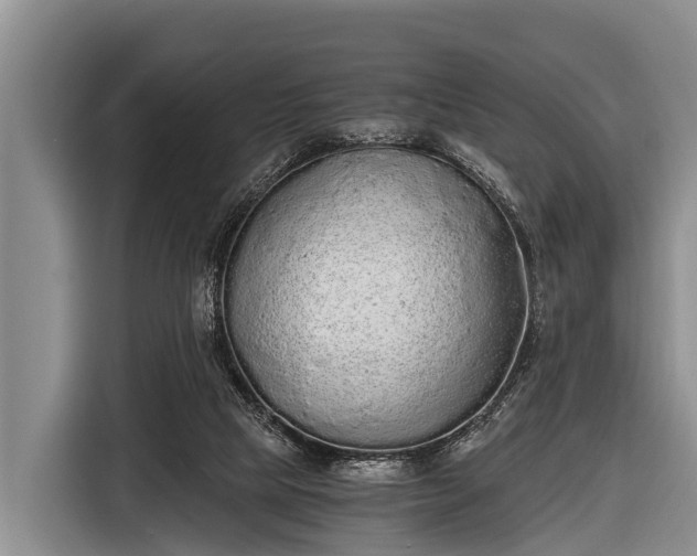 X0000116860065200912291308