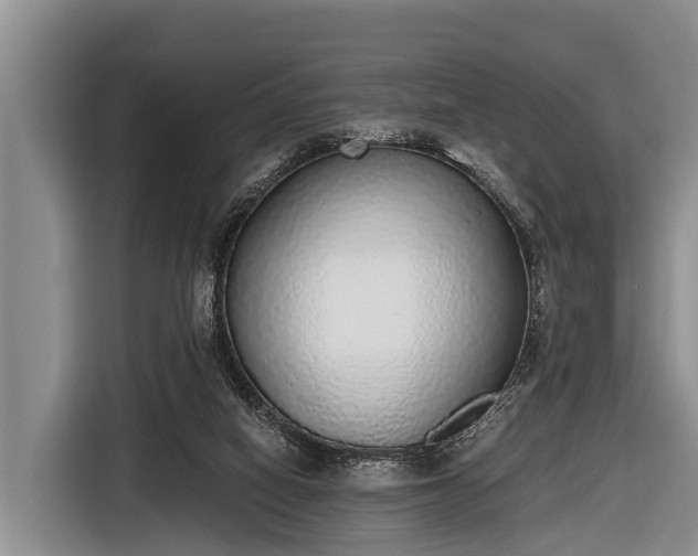 X0000116860066200912291308