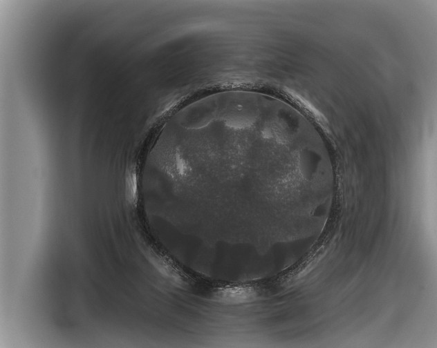 X0000116860067200912291308