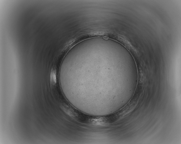 X0000116860068200912291308