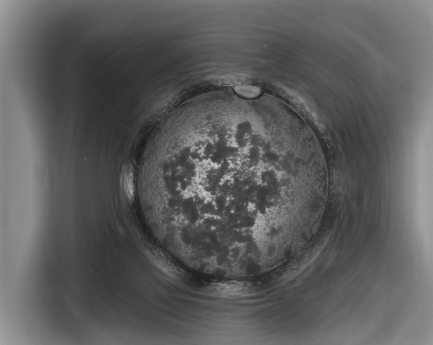 X0000116860069200912291308