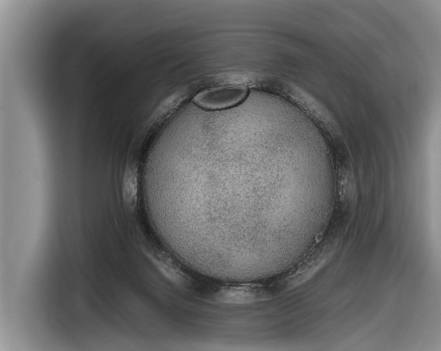 X0000116860072200912291308