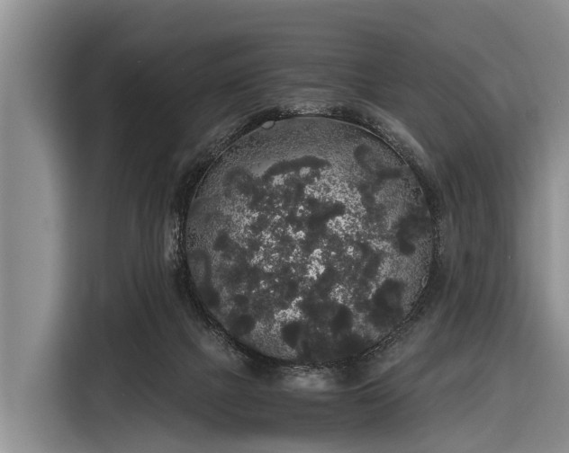 X0000116860073200912291308