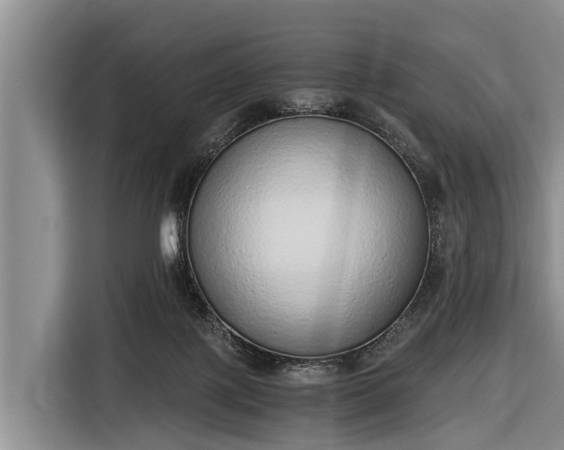 X0000116860075200912291308