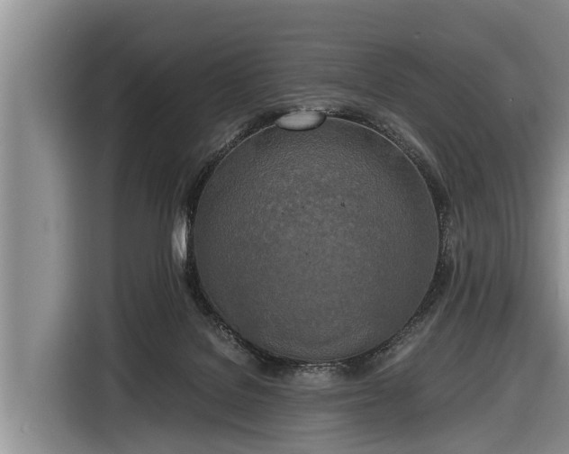 X0000116860076200912291308