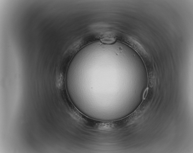 X0000116860077200912291308