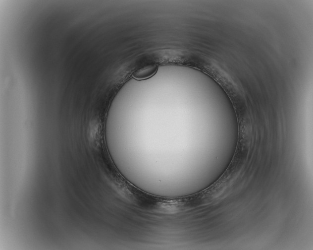 X0000116860079200912291308