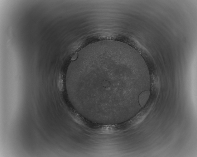 X0000116860080200912291308