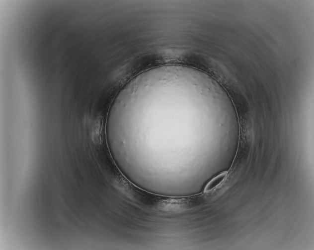 X0000116860082200912291308