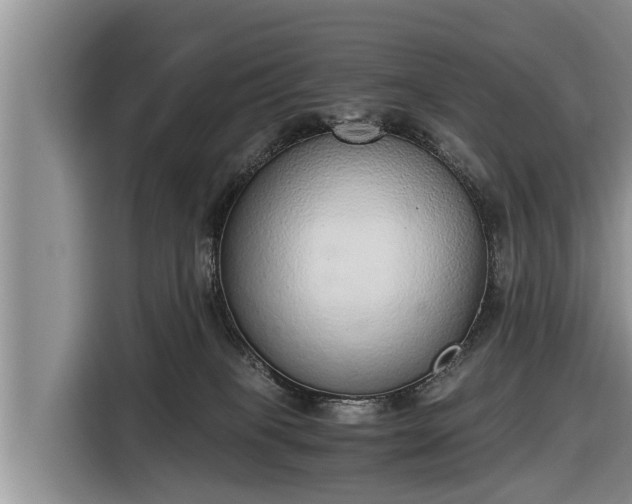 X0000116860085200912291308