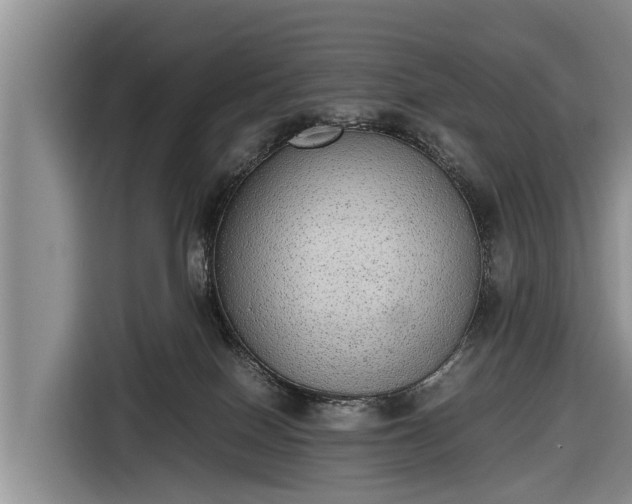 X0000116860086200912291308