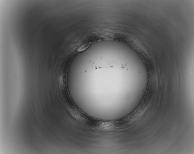 X0000116860088200912291308