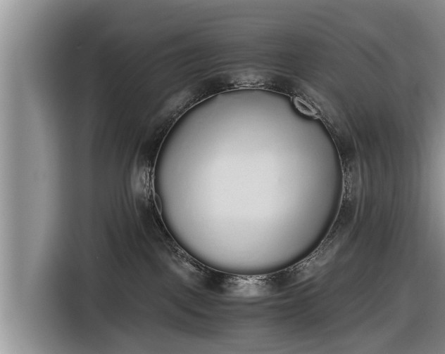 X0000116860093200912291308