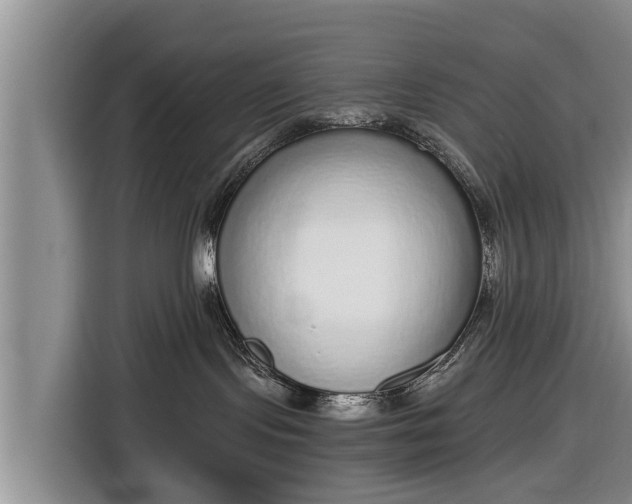 X0000116860095200912291308