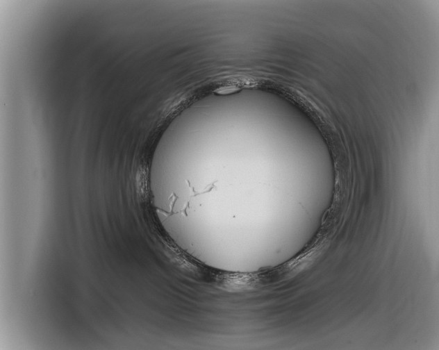 X0000116860096200912291308