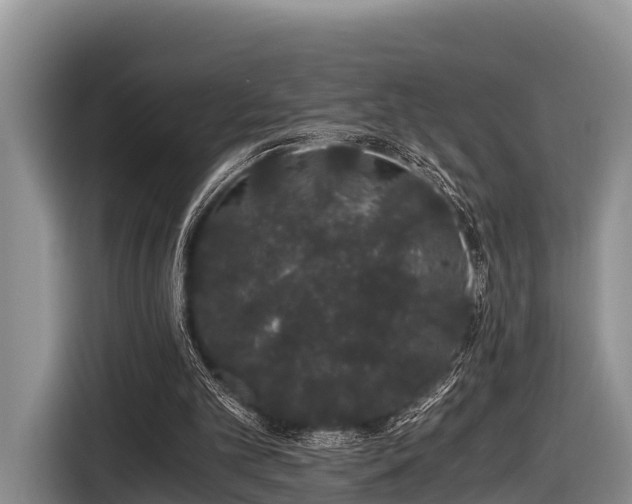 X0000116860101200912291308