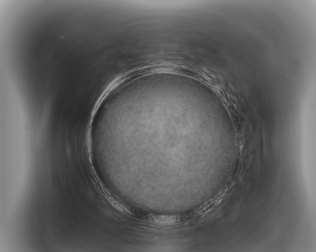 X0000116860102200912291308