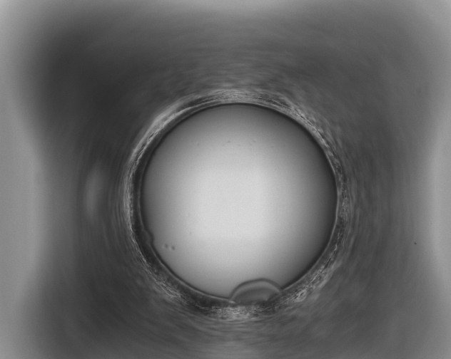 X0000116860103200912291308