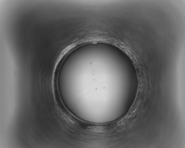 X0000116860104200912291308