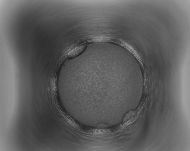 X0000116860105200912291308