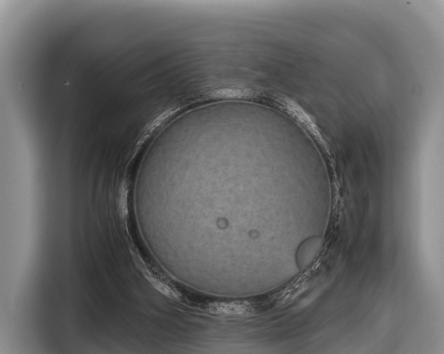 X0000116860106200912291307