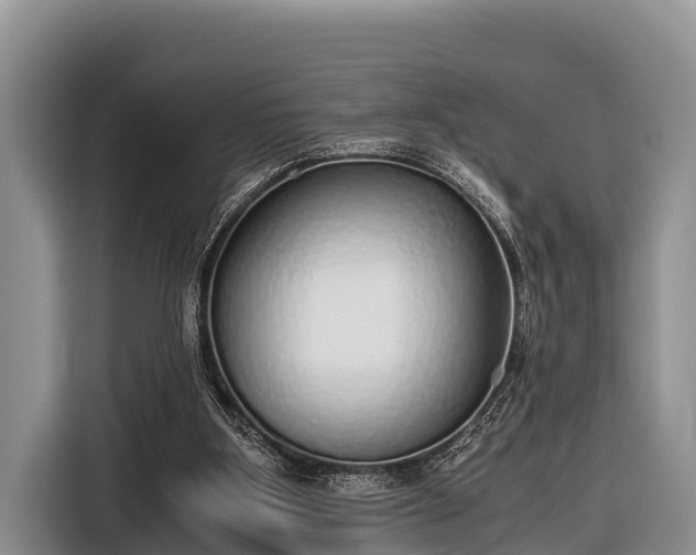 X0000116860107200912291307