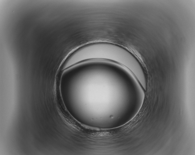 X0000116860108200912291307