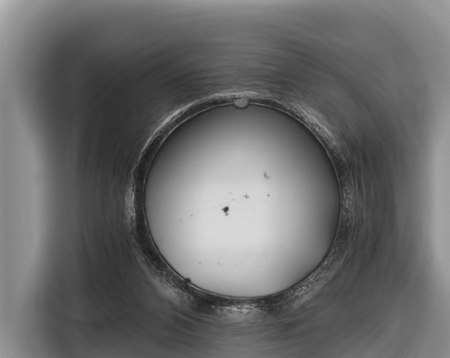 X0000116860112200912291307