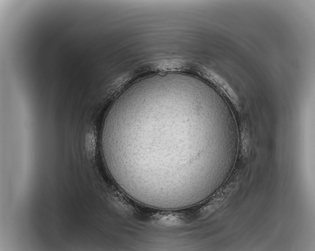 X0000116860113200912291307