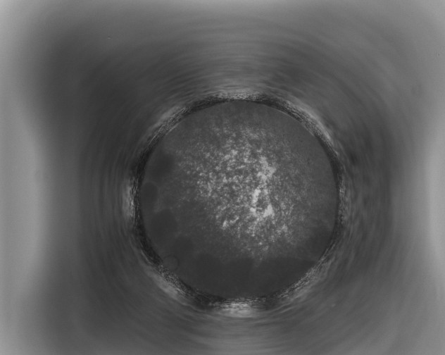 X0000116860114200912291307