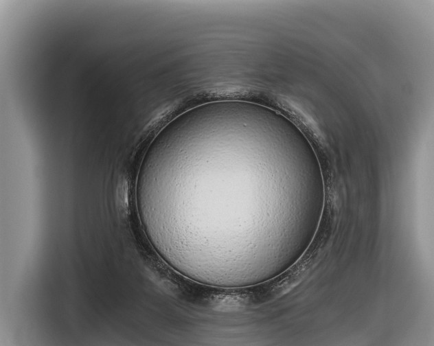 X0000116860115200912291307