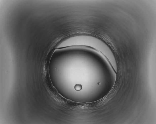 X0000116860116200912291307