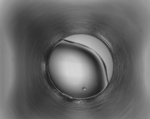 X0000116860117200912291307