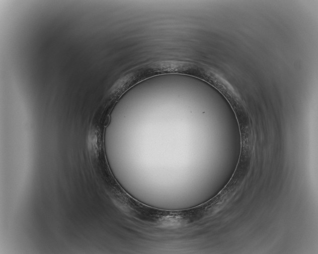 X0000116860119200912291307