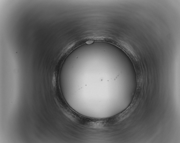 X0000116860120200912291307