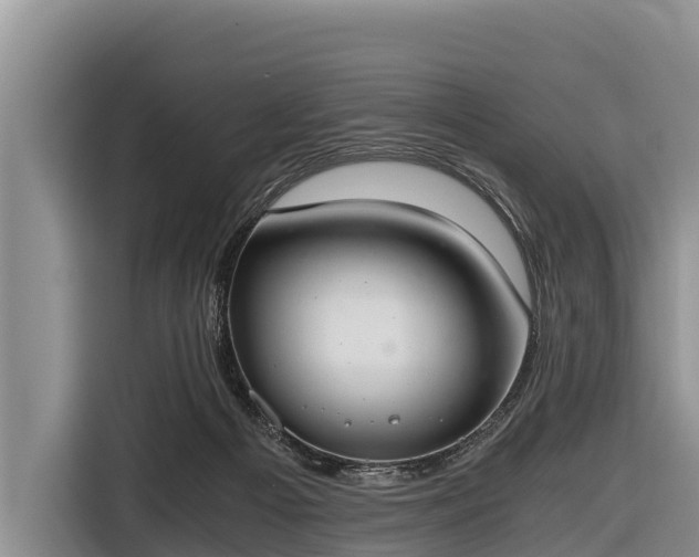 X0000116860121200912291307