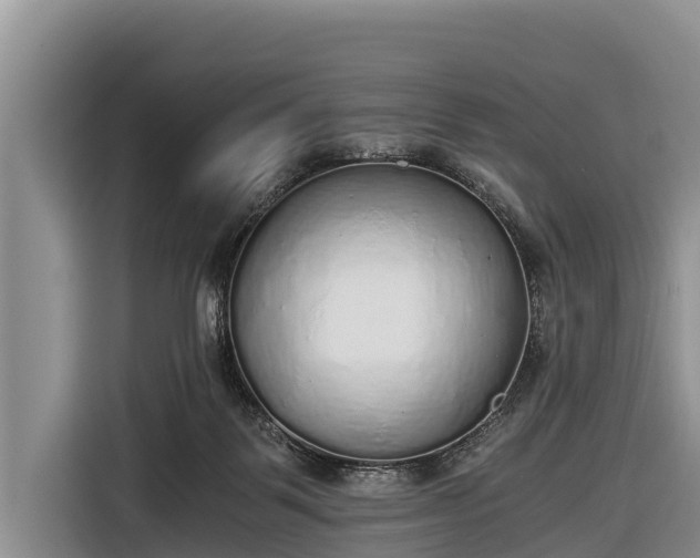 X0000116860123200912291307