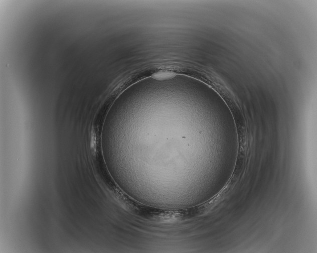 X0000116860124200912291307