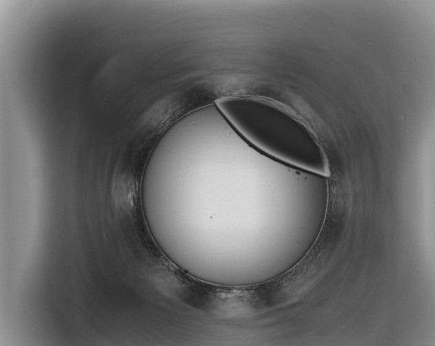 X0000116860125200912291307