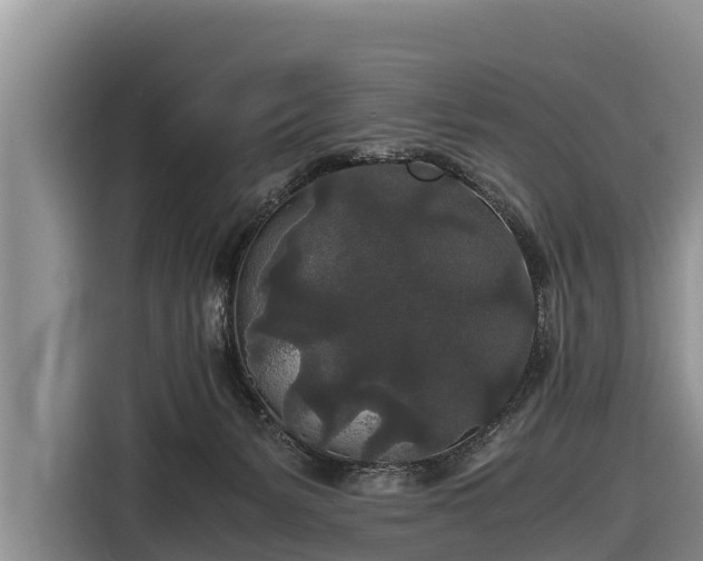 X0000116860127200912291307