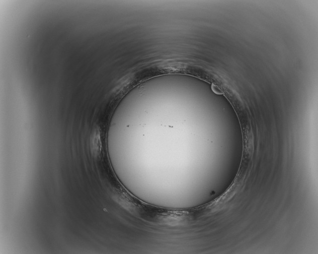 X0000116860128200912291307