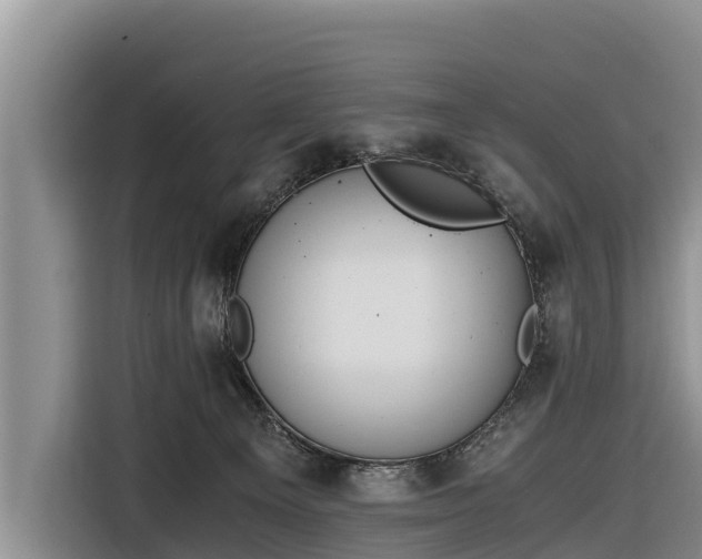 X0000116860129200912291307