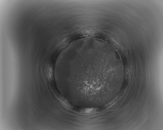 X0000116860130200912291307