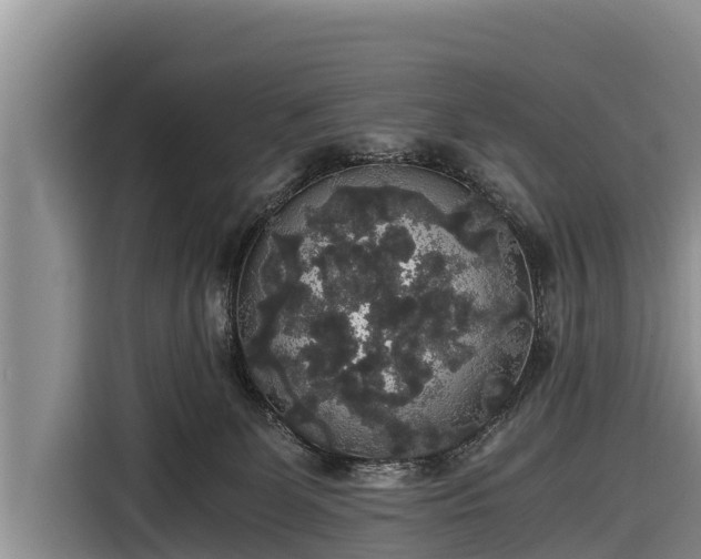 X0000116860131200912291307