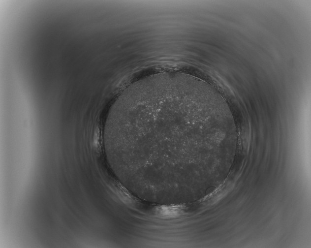 X0000116860134200912291307