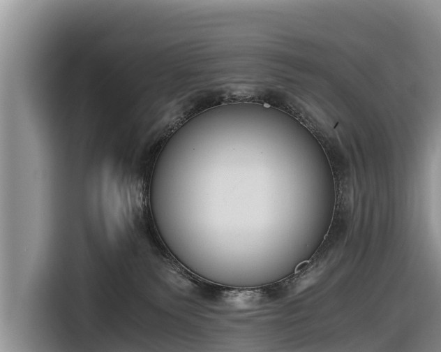 X0000116860135200912291307